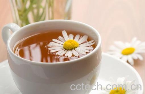果蔬百科菊花茶的副作用-0