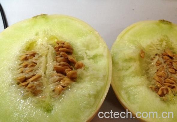 果蔬百科香瓜里面的籽可以吃吗-0