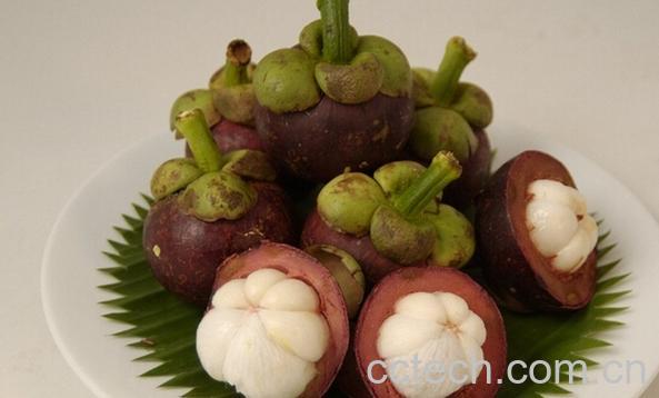 果蔬百科吃山竹多了会过敏吗-0