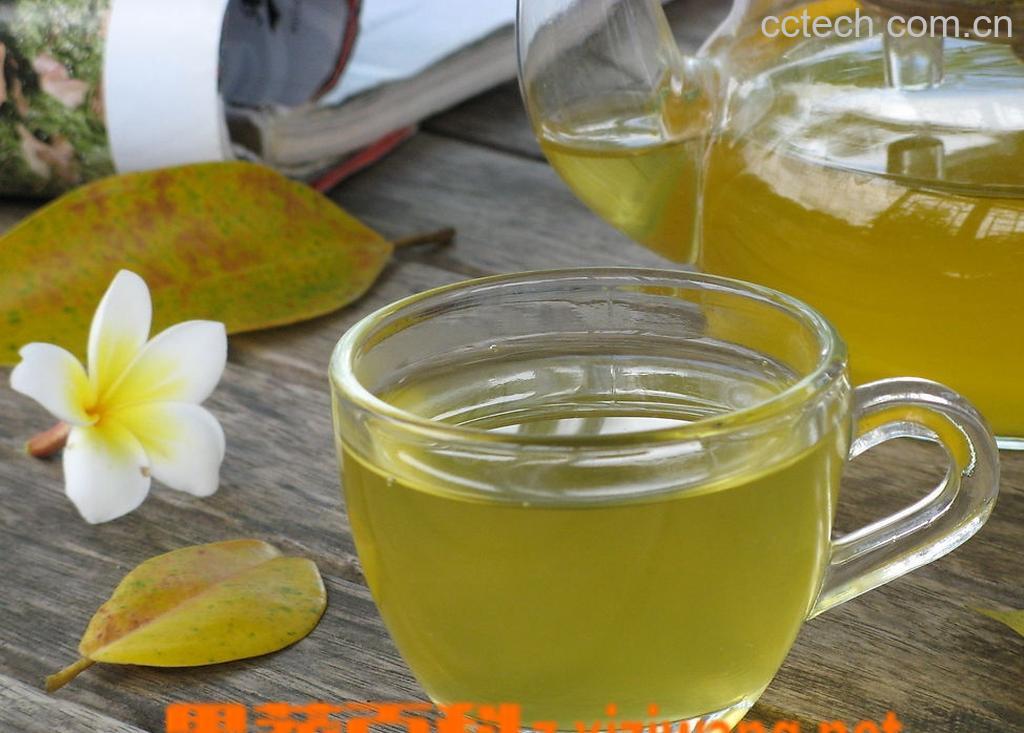 果蔬百科减肥绿茶-0