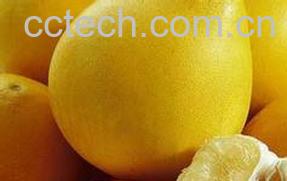 果蔬百科柚子的热量有多高?-0