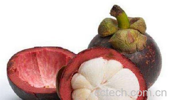 果蔬百科如何打开山竹-0