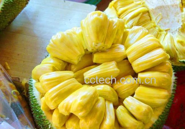 果蔬百科木菠萝怎么吃-0