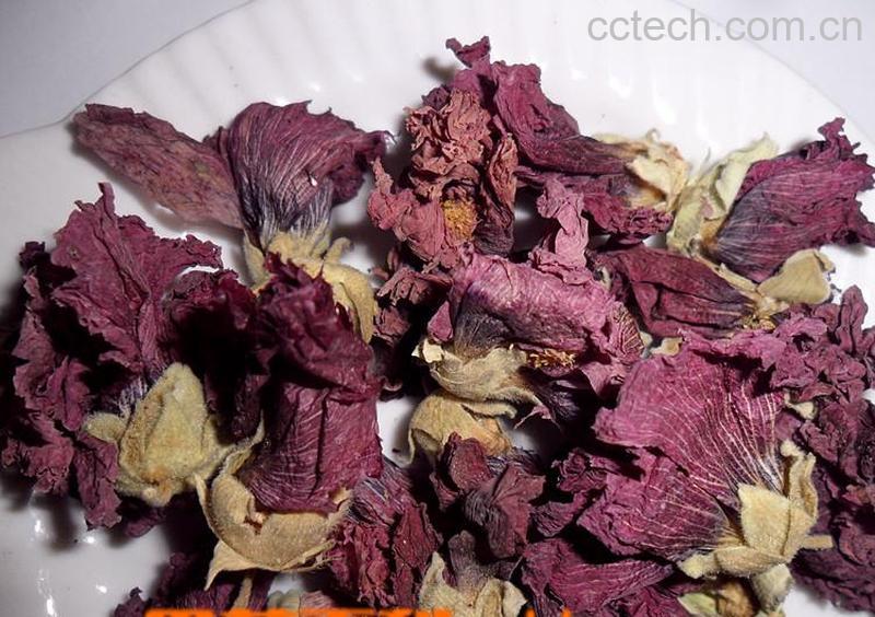 果蔬百科紫罗兰茶-0