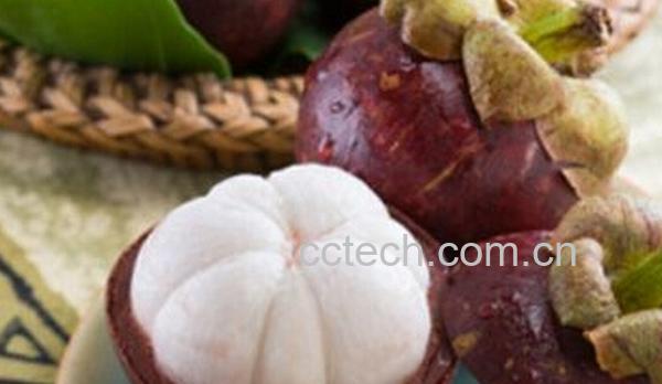 果蔬百科山竹的食用与保存方法-0