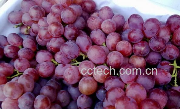 果蔬百科吃红提的好处和坏处-0