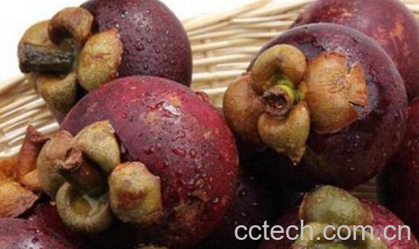 果蔬百科山竹的皮有什么益处-0