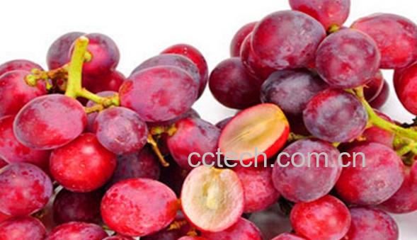 果蔬百科红提皮-0