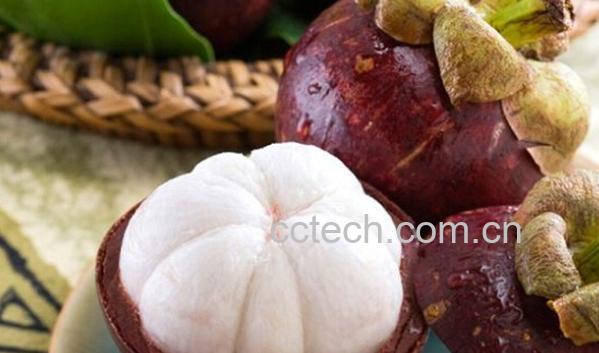 果蔬百科如何辨别山竹的好坏-0