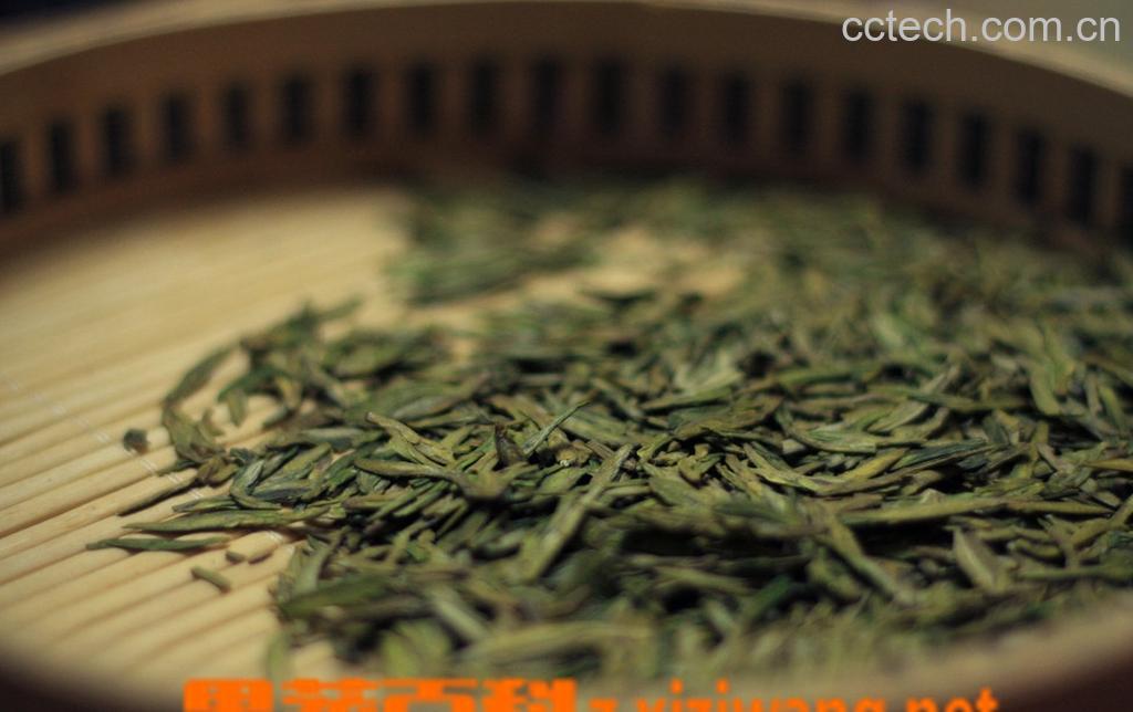 果蔬百科龙井茶叶的功效-0