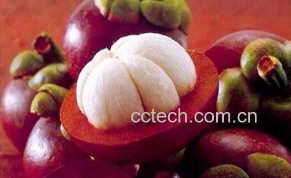 果蔬百科山竹果的抗癌作用-0