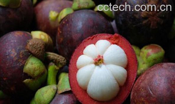 果蔬百科吃山竹有什么好处-0