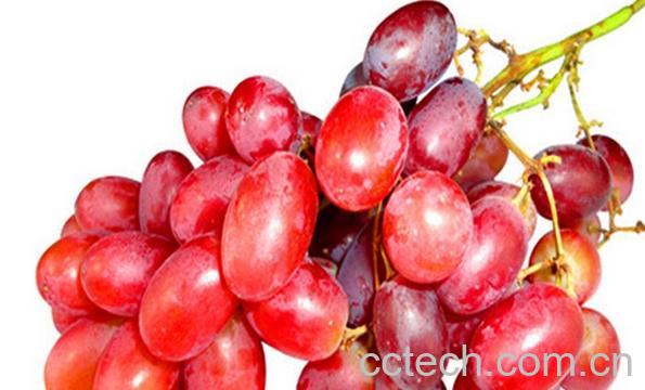 果蔬百科红葡萄和红提的区别-0
