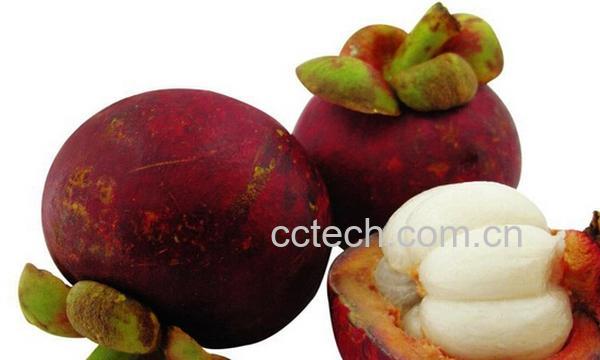 果蔬百科哺乳期可以吃山竹吗-0