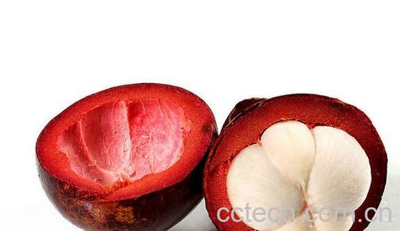 果蔬百科山竹果皮-0