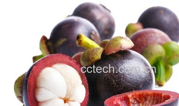 果蔬百科吃山竹过敏症状-0