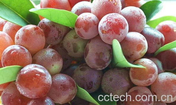 果蔬百科红提葡萄保存方法-0