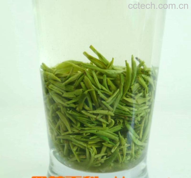 果蔬百科如何泡毛尖-0