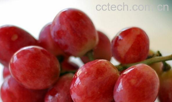 果蔬百科红提-0