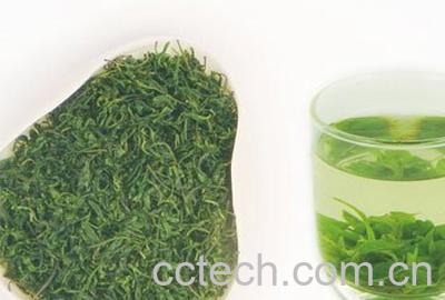 果蔬百科苦丁茶的功效-0