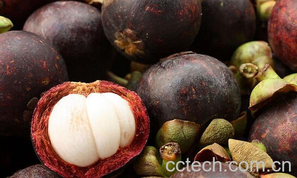 果蔬百科山竹保鲜方法-0