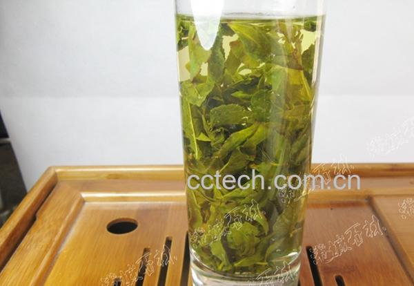 果蔬百科铁观音是绿茶么-0