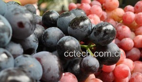 果蔬百科红提和黑提的区别-0