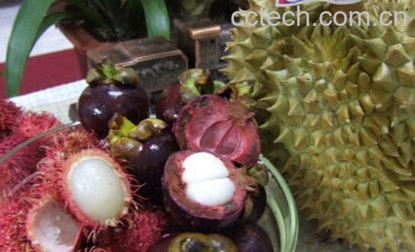 果蔬百科榴莲和山竹-0