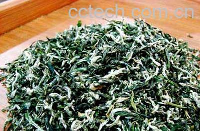 果蔬百科碧螺春茶-0