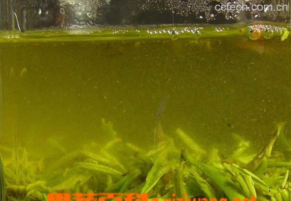 果蔬百科碧螺春产地-0