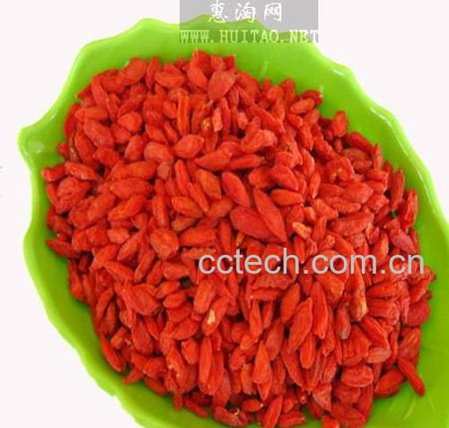 果蔬百科枸杞茶叶-0