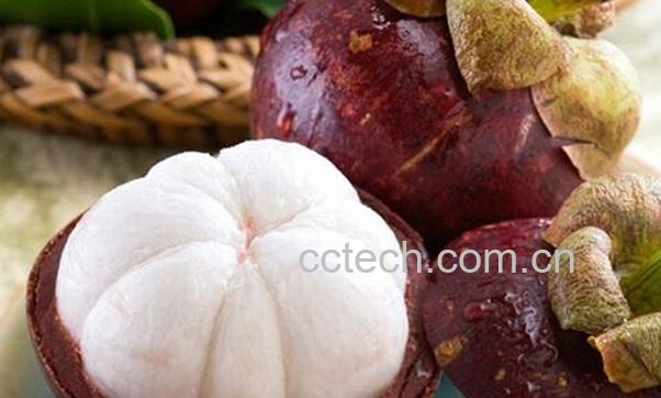 果蔬百科山竹果-0