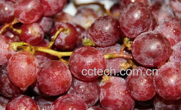 果蔬百科红提-0