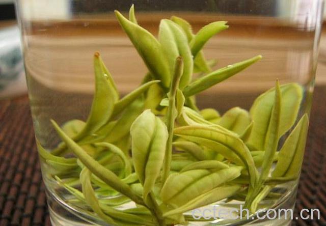 果蔬百科龙井茶的产地是哪里-0