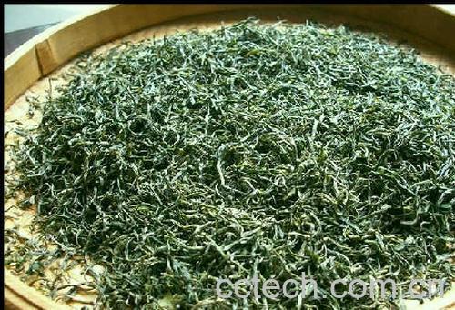 果蔬百科毛峰属于绿茶吗-0