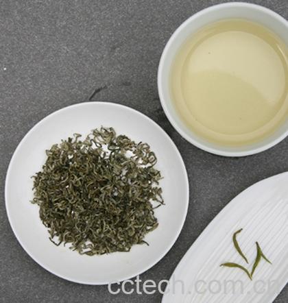 果蔬百科都匀毛尖产地-0