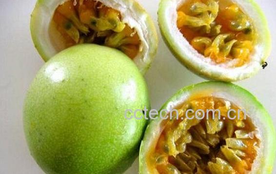 果蔬百科热带水果鸡蛋果-0