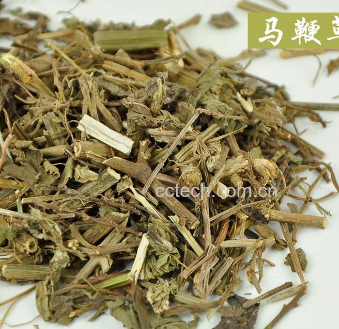 果蔬百科马鞭草茶-0