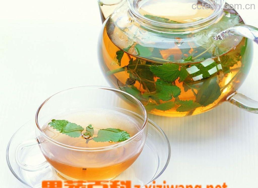 果蔬百科花茶搭配-0