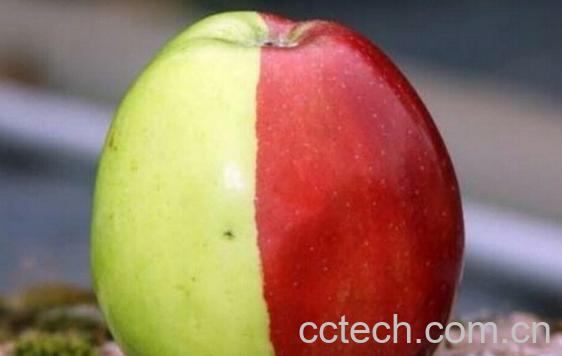 果蔬百科半红半绿苹果-0