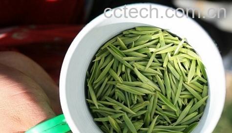 果蔬百科喝绿茶的功效与作用-0