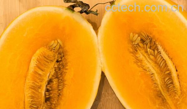 果蔬百科黄河蜜甜瓜-0