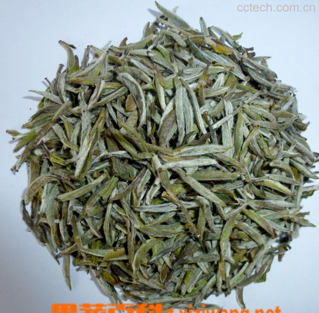 果蔬百科白毫银针产地-0