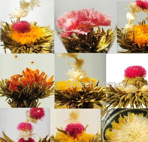 果蔬百科花茶的种类-0