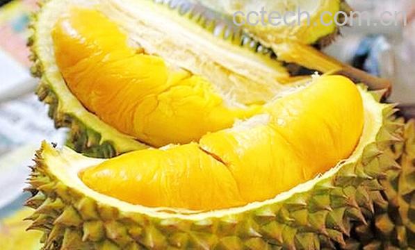 果蔬百科食用榴莲的注意事项-0