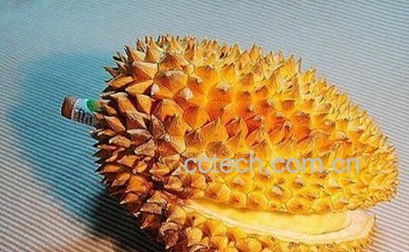 果蔬百科榴莲壳-0