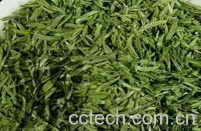 果蔬百科绿春玛玉茶-0