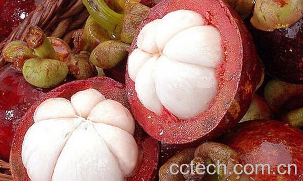 果蔬百科山竹壳-0