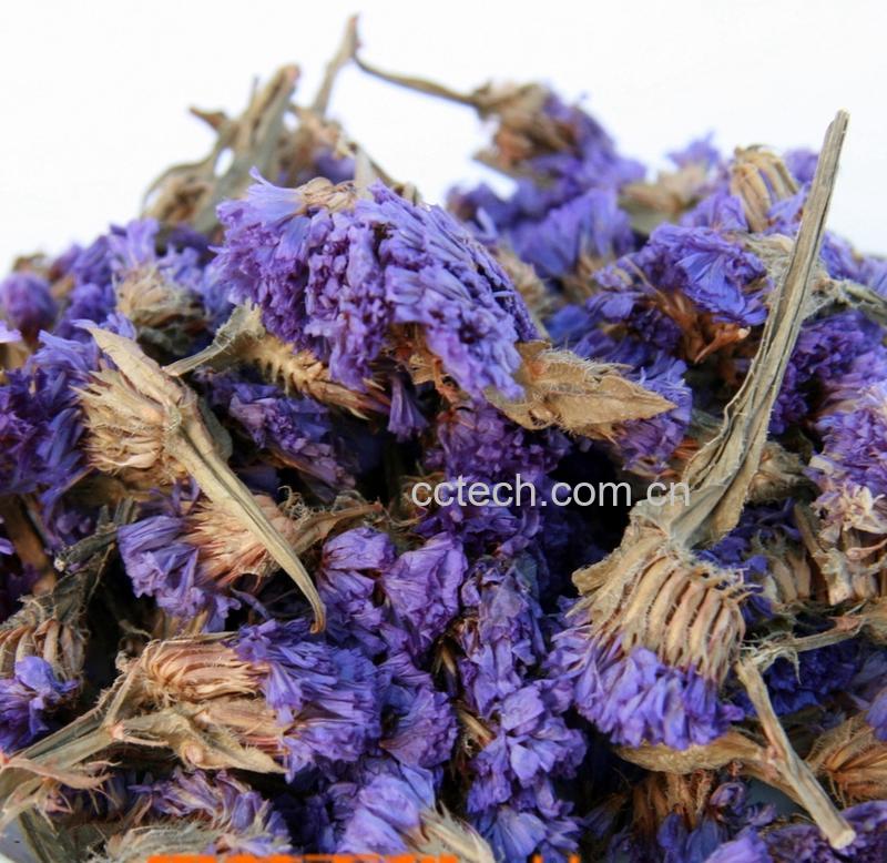 果蔬百科勿忘我花草茶-0