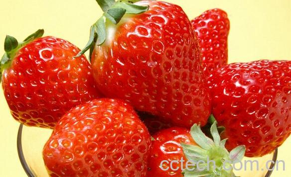 果蔬百科草莓-0